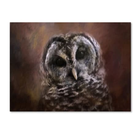 Jai Johnson 'The Curious Owl' Canvas Art,18x24